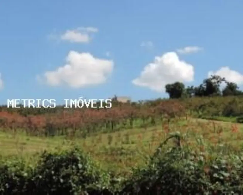 Chácara com 4 quartos à venda, 3500m2 em Louveira - SP - imagem 3 Foto 3 de Chácara com 4 quartos à venda, 3500m2 em Louveira - SP