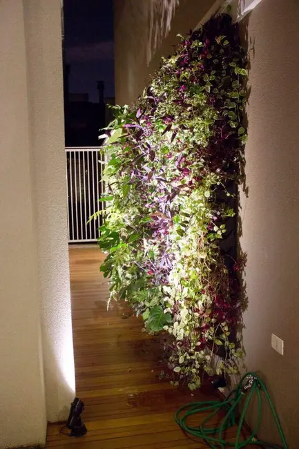 Foto 3 de Casa de Condomínio com 4 quartos à venda, 100m2 em Granja Julieta, São Paulo - SP