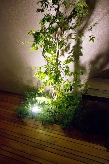 Foto 4 de Casa de Condomínio com 4 quartos à venda, 100m2 em Granja Julieta, São Paulo - SP