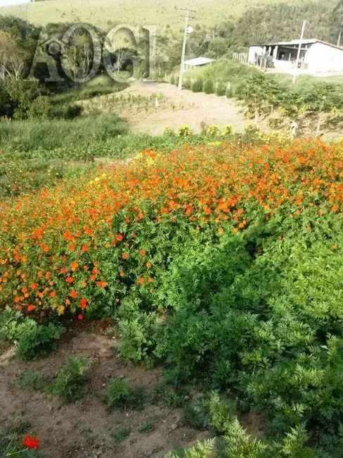 Foto 8 de Chácara com 6 quartos à venda, 144000m2 em Centro, Igarata - SP