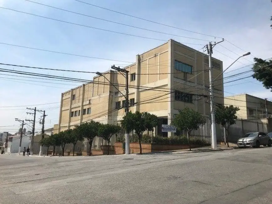 Foto 3 de Sala Comercial para alugar, 2021m2 em Vila Santa Catarina, São Paulo - SP