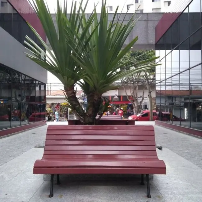 Sala Comercial para alugar, 30m2 em Vila Monte Alegre, São Paulo - SP - imagem 3 Foto 3 de Sala Comercial para alugar, 30m2 em Vila Monte Alegre, São Paulo - SP