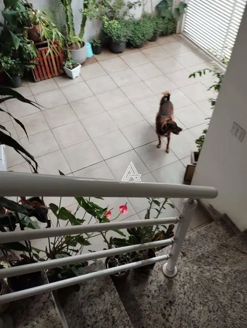 Foto 6 de Sobrado com 2 quartos à venda, 67m2 em Vila Alzira, Santo Andre - SP