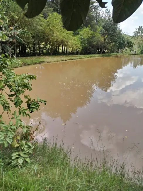 Chácara com 5 quartos à venda, 5000m2 em Pouso Alegre - MG - imagem 9 Foto 9 de Chácara com 5 quartos à venda, 5000m2 em Pouso Alegre - MG