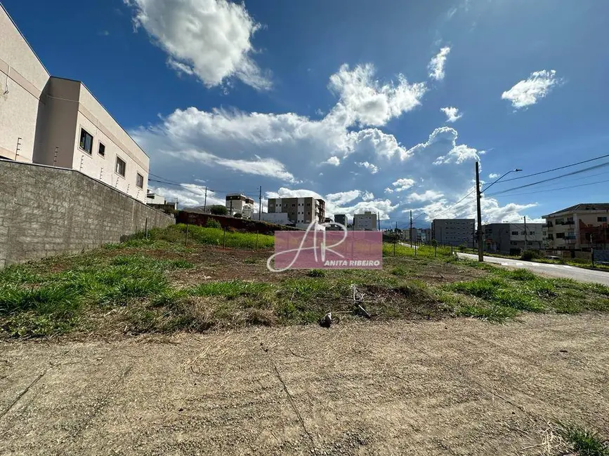 Foto 2 de Terreno / Lote à venda, 293m2 em Pouso Alegre - MG