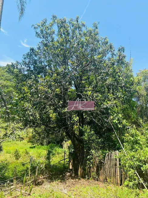 Foto 7 de Chácara à venda, 10000m2 em Silvianopolis - MG