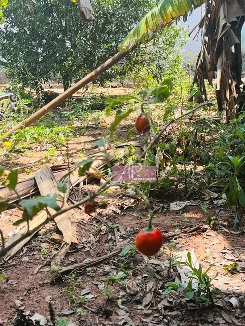 Foto 9 de Chácara à venda, 10000m2 em Silvianopolis - MG