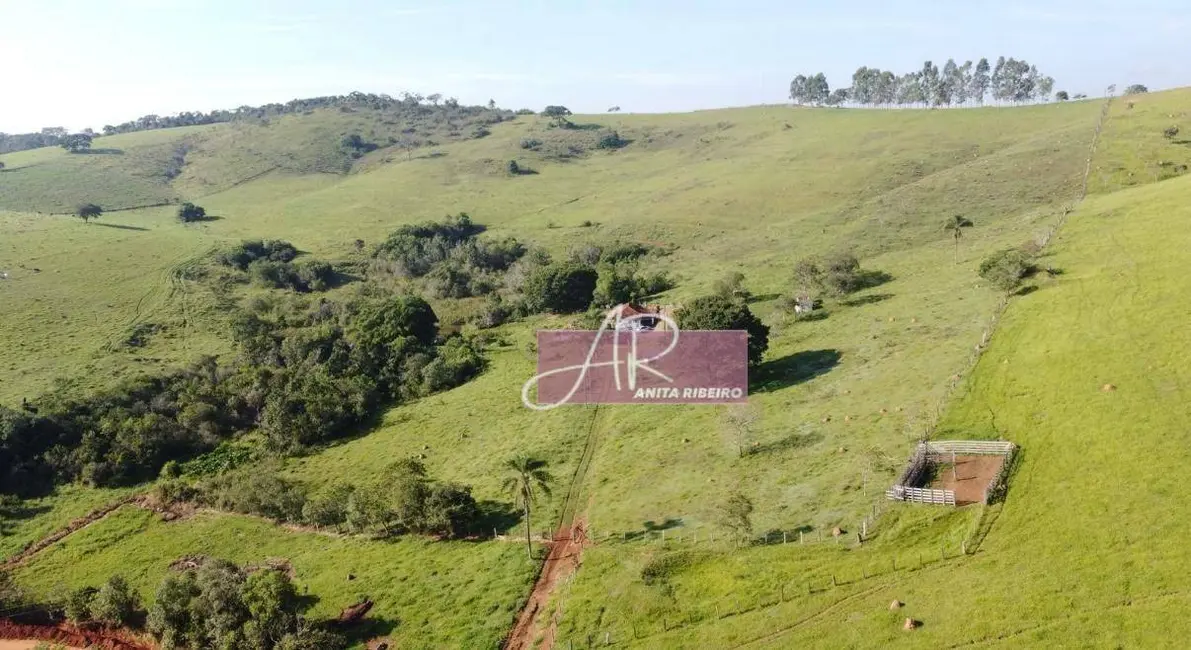 Sítio / Rancho com 3 quartos à venda, 218000m2 em Pouso Alegre - MG - imagem 7 Foto 7 de Sítio / Rancho com 3 quartos à venda, 218000m2 em Pouso Alegre - MG