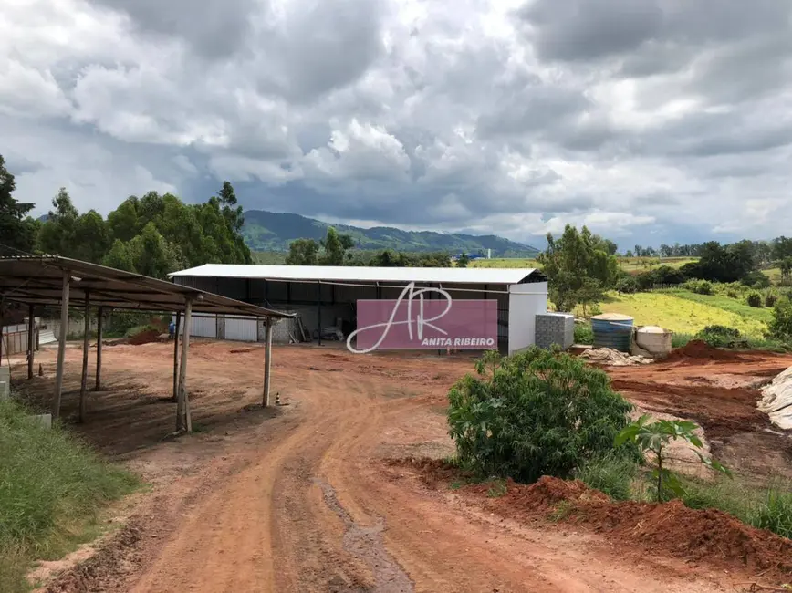 Sítio / Rancho com 1 quarto à venda, 90000m2 em Pouso Alegre - MG - imagem 3 Foto 3 de Sítio / Rancho com 1 quarto à venda, 90000m2 em Pouso Alegre - MG