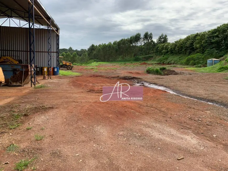 Sítio / Rancho com 1 quarto à venda, 90000m2 em Pouso Alegre - MG - imagem 7 Foto 7 de Sítio / Rancho com 1 quarto à venda, 90000m2 em Pouso Alegre - MG