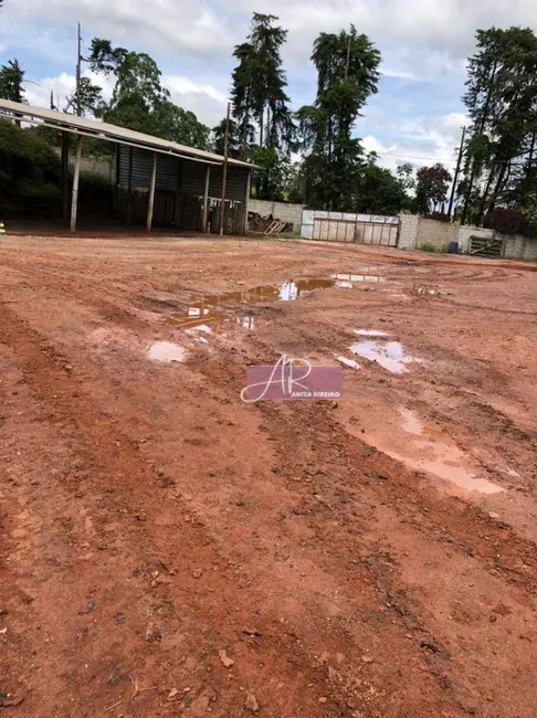 Sítio / Rancho com 1 quarto à venda, 90000m2 em Pouso Alegre - MG - imagem 8 Foto 8 de Sítio / Rancho com 1 quarto à venda, 90000m2 em Pouso Alegre - MG