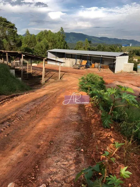 Sítio / Rancho com 1 quarto à venda, 90000m2 em Pouso Alegre - MG - imagem 6 Foto 6 de Sítio / Rancho com 1 quarto à venda, 90000m2 em Pouso Alegre - MG