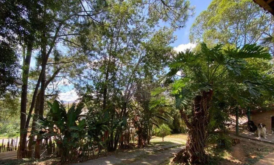 Chácara com 2 quartos à venda, 3387m2 em Faisqueira, Pouso Alegre - MG - imagem 5 Foto 5 de Chácara com 2 quartos à venda, 3387m2 em Faisqueira, Pouso Alegre - MG