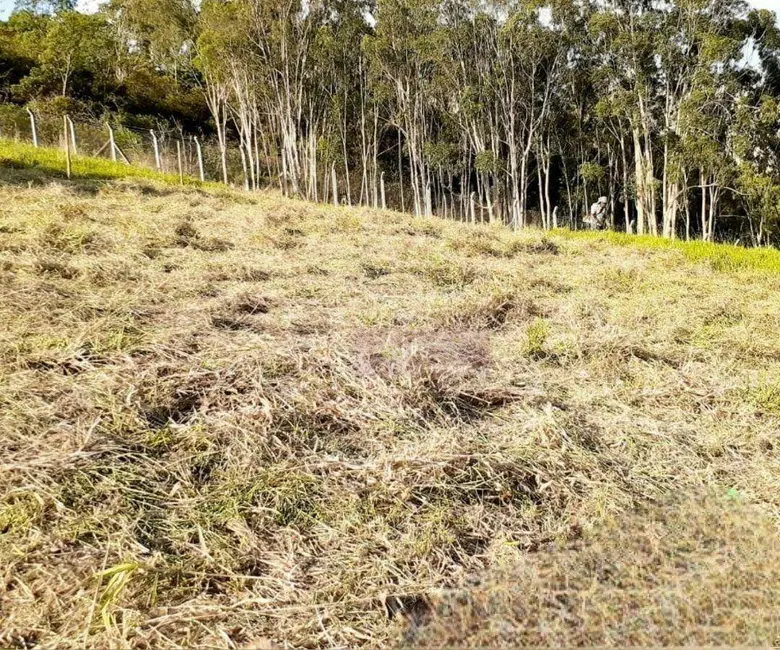 Foto 3 de Terreno / Lote à venda, 1569m2 em Pouso Alegre - MG