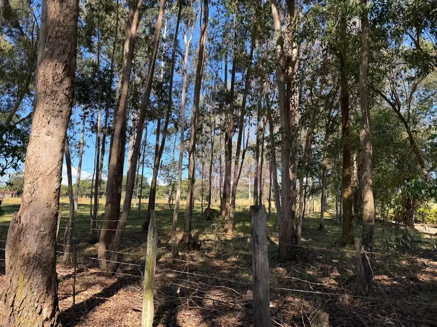 Foto 3 de Terreno / Lote à venda, 14000m2 em Pouso Alegre - MG