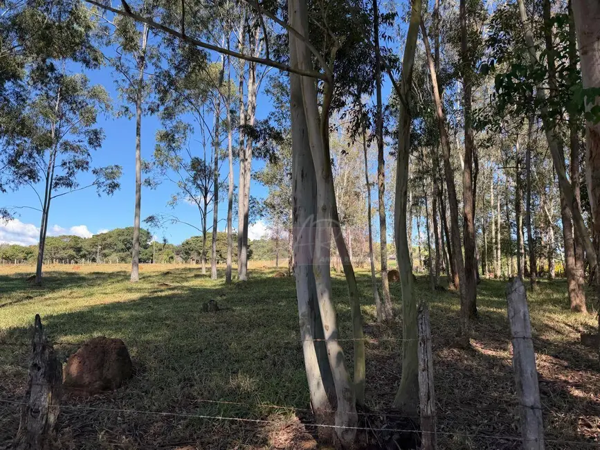 Foto 1 de Terreno / Lote à venda, 14000m2 em Pouso Alegre - MG