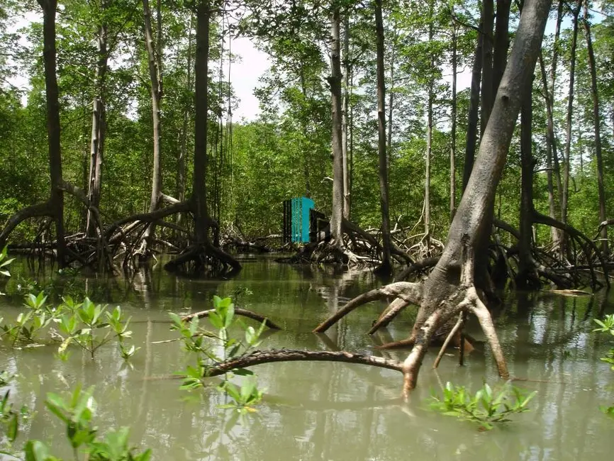 Apartamento à venda, 1522m2 em Sao Joao De Pirabas - PA - imagem 6 Foto 6 de Apartamento à venda, 1522m2 em Sao Joao De Pirabas - PA