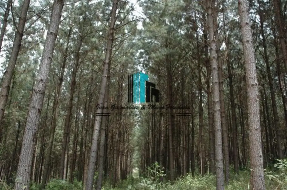 Foto 1 de Fazenda / Haras à venda, 17721m2 em Centro, Cruz Machado - PR