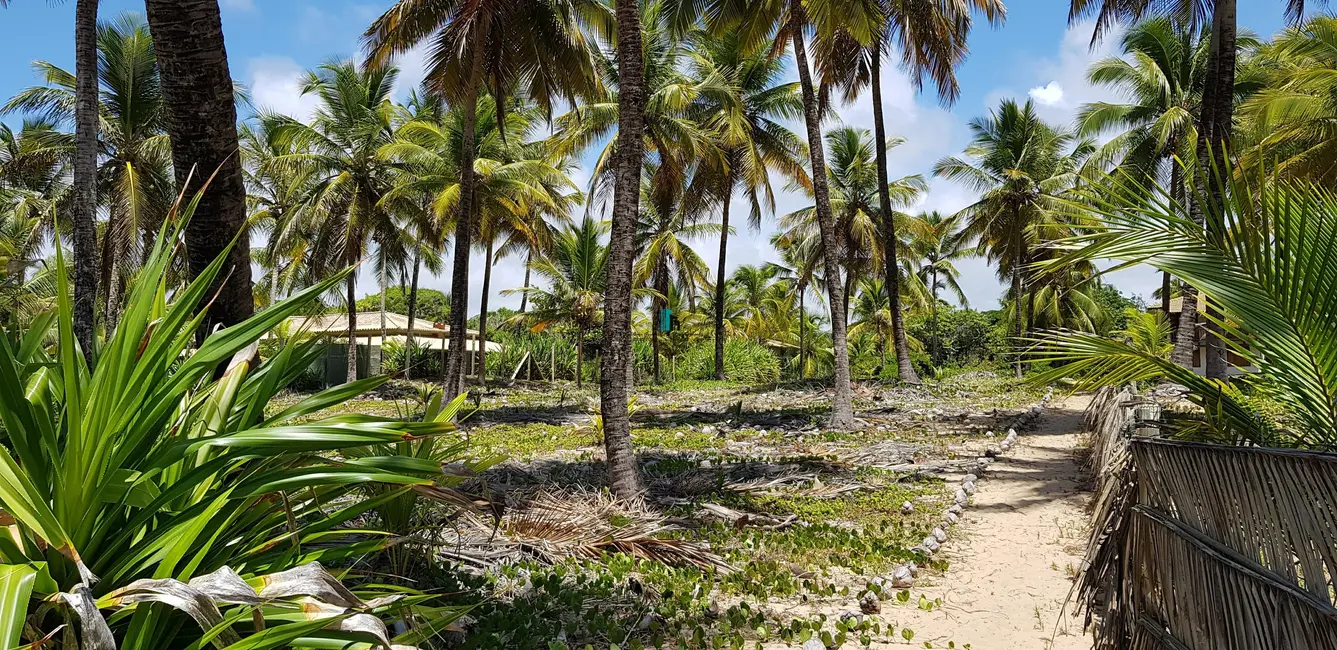 Foto 4 de Terreno / Lote à venda, 5800m2 em Camacari - BA