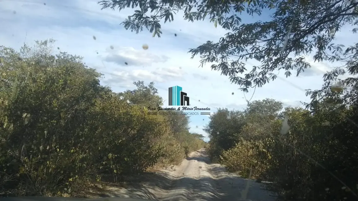 Foto 4 de Fazenda / Haras à venda, 306000m2 em Centro, Pilao Arcado - BA