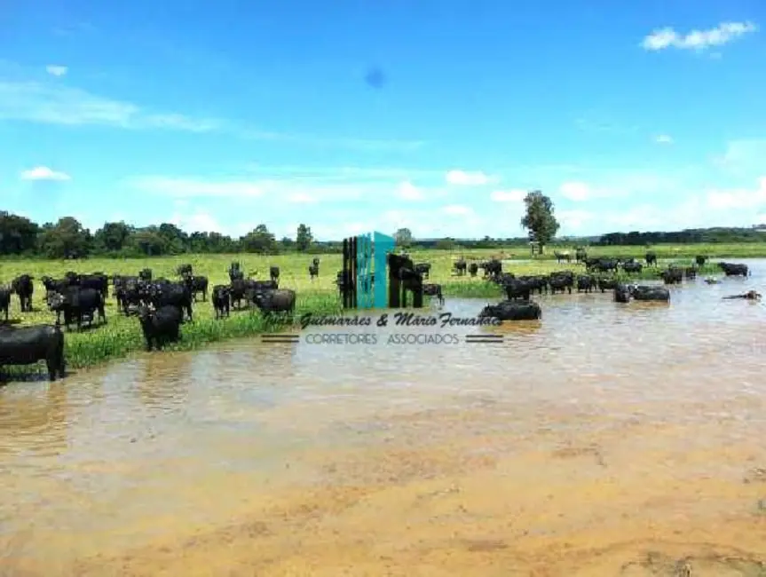 Foto 6 de Fazenda / Haras à venda, 299m2 em Centro, Santana Do Itarare - PR