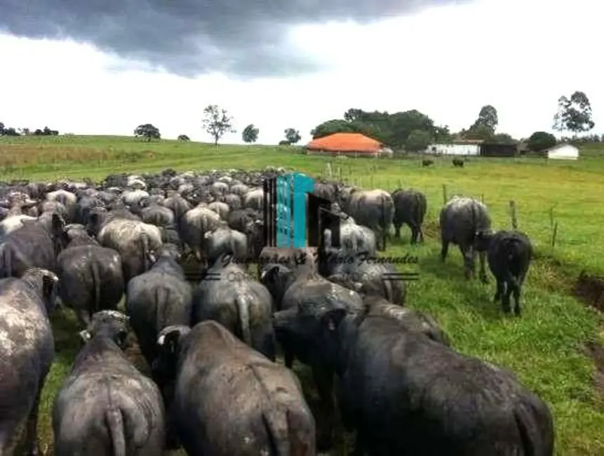 Foto 1 de Fazenda / Haras à venda, 299m2 em Centro, Santana Do Itarare - PR