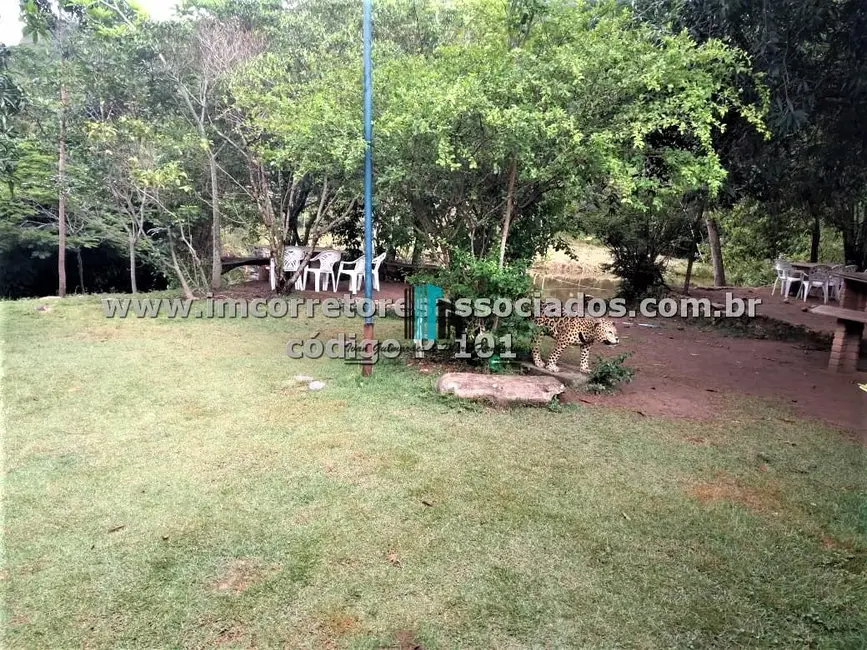 Foto 9 de Fazenda / Haras à venda, 440000m2 em Centro, Wagner - BA