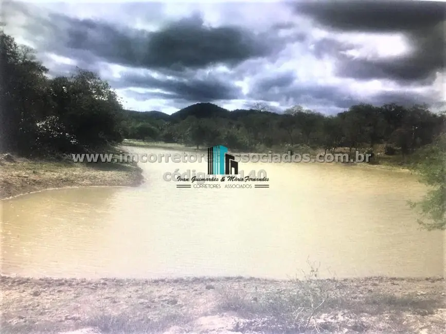 Fazenda / Haras à venda, 3500000m2 em Centro, Boa Vista Do Tupim - BA - imagem 8 Foto 8 de Fazenda / Haras à venda, 3500000m2 em Centro, Boa Vista Do Tupim - BA