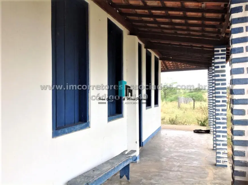 Fazenda / Haras à venda, 3500000m2 em Centro, Boa Vista Do Tupim - BA - imagem 4 Foto 4 de Fazenda / Haras à venda, 3500000m2 em Centro, Boa Vista Do Tupim - BA