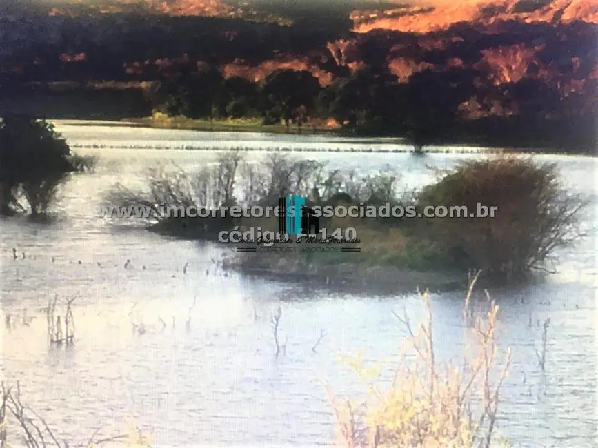 Fazenda / Haras à venda, 3500000m2 em Centro, Boa Vista Do Tupim - BA - imagem 5 Foto 5 de Fazenda / Haras à venda, 3500000m2 em Centro, Boa Vista Do Tupim - BA