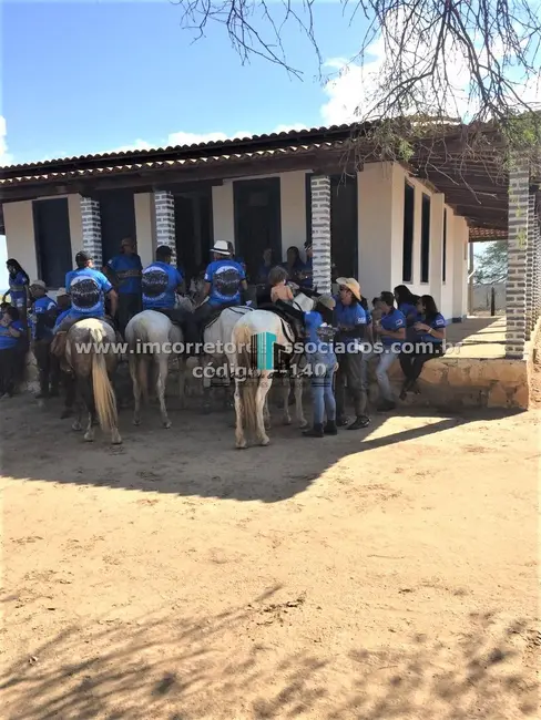 Fazenda / Haras à venda, 3500000m2 em Centro, Boa Vista Do Tupim - BA - imagem 6 Foto 6 de Fazenda / Haras à venda, 3500000m2 em Centro, Boa Vista Do Tupim - BA