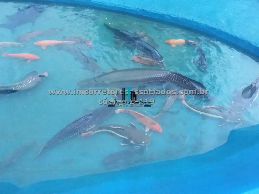 Foto 8 de Fazenda / Haras à venda, 28000m2 em Centro, Jequirica - BA