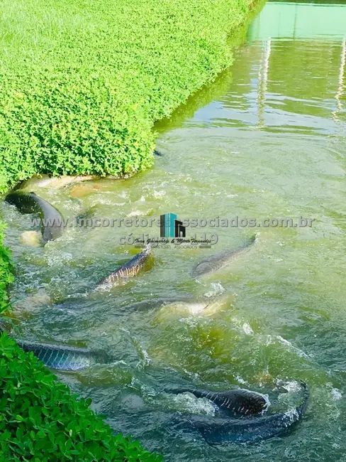 Foto 6 de Fazenda / Haras à venda, 28000m2 em Centro, Jequirica - BA