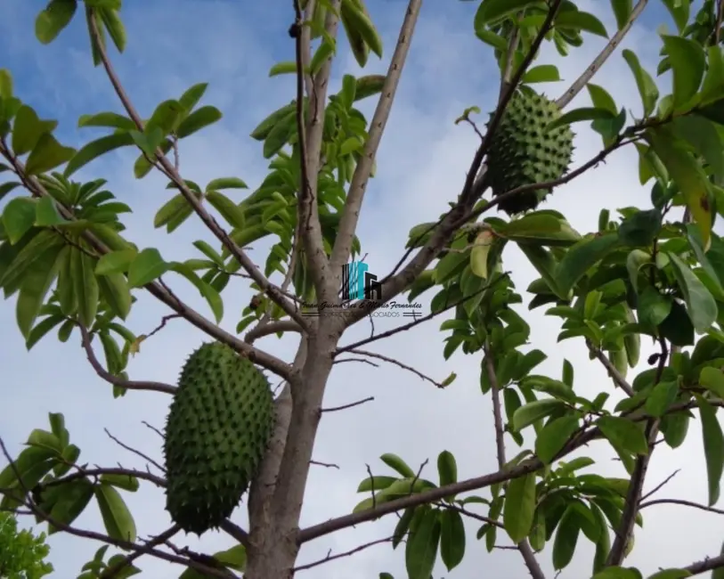 Foto 2 de Fazenda / Haras à venda, 34800m2 em Jandaira - BA