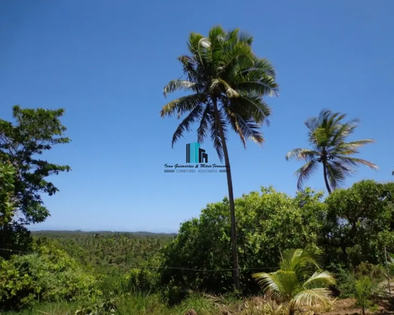 Foto 9 de Fazenda / Haras à venda, 34800m2 em Jandaira - BA