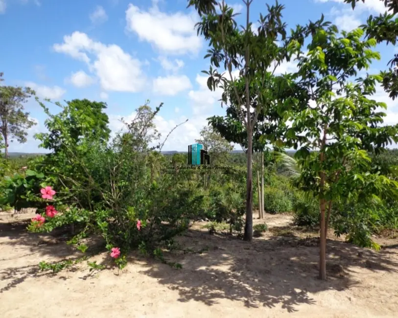 Foto 7 de Fazenda / Haras à venda, 34800m2 em Jandaira - BA