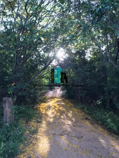 Foto 4 de Fazenda / Haras à venda, 148m2 em Centro, Utinga - BA