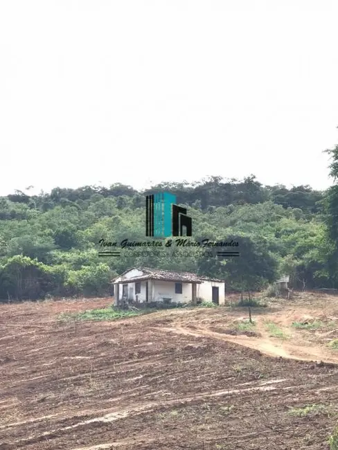 Foto 5 de Fazenda / Haras à venda, 148m2 em Centro, Utinga - BA