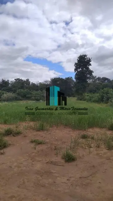 Foto 6 de Fazenda / Haras à venda, 500m2 em Centro,  - BA