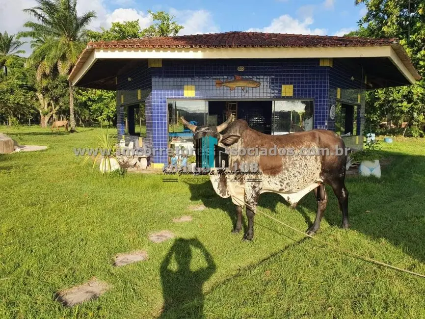 Foto 10 de Fazenda / Haras à venda, 167m2 em Enseada, Maragogipe - BA