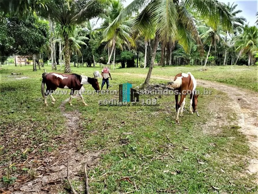 Foto 21 de Fazenda / Haras à venda, 167m2 em Enseada, Maragogipe - BA