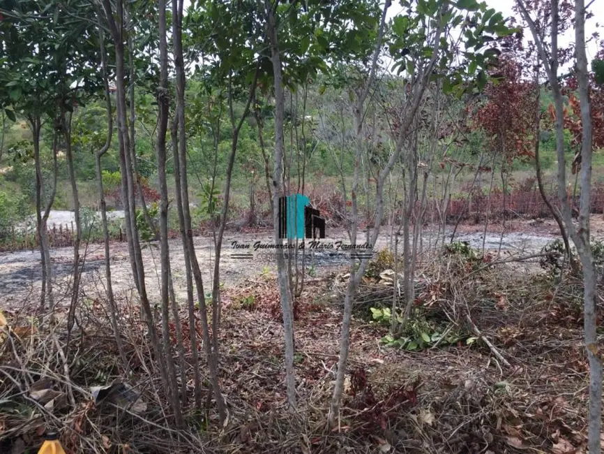 Terreno / Lote à venda, 2000m2 em Mata De Sao Joao - BA - imagem 3 Foto 3 de Terreno / Lote à venda, 2000m2 em Mata De Sao Joao - BA