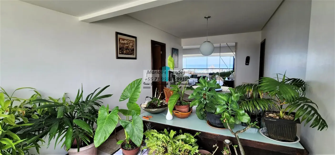 Foto 8 de Apartamento para alugar em Horto Florestal, Salvador - BA