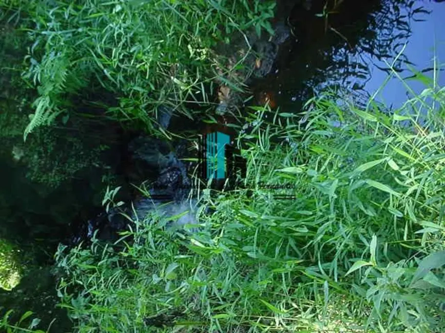 Apartamento à venda, 300000m2 em Praia das Goiabas (Mambucaba), Angra Dos Reis - RJ - imagem 4 Foto 4 de Apartamento à venda, 300000m2 em Praia das Goiabas (Mambucaba), Angra Dos Reis - RJ