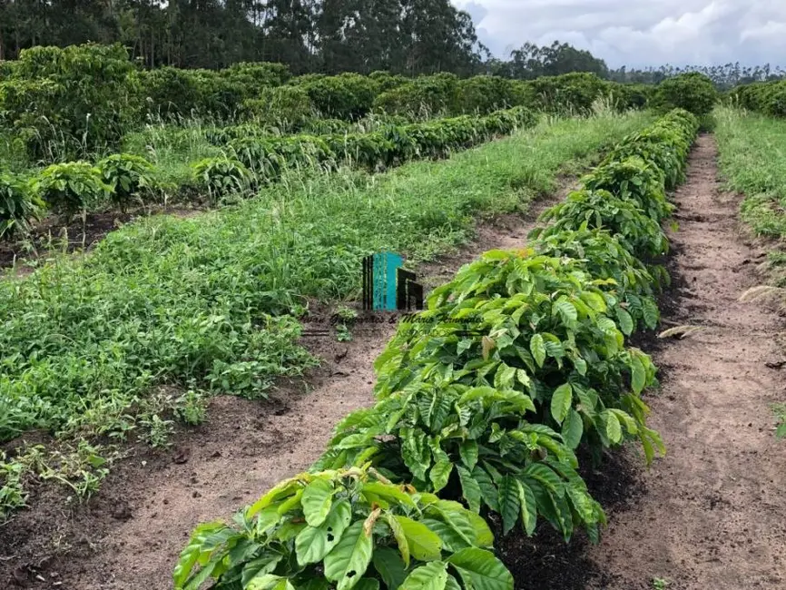 Foto 3 de Fazenda / Haras à venda, 4185m2 em Centro, Itamaraju - BA
