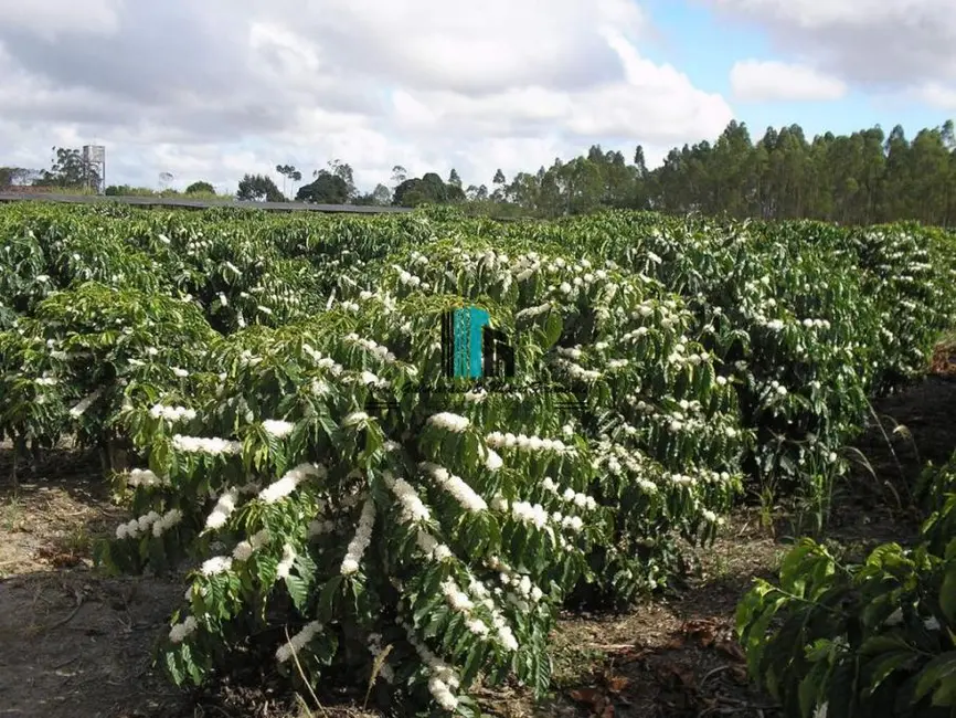 Foto 5 de Fazenda / Haras à venda, 4185m2 em Centro, Itamaraju - BA