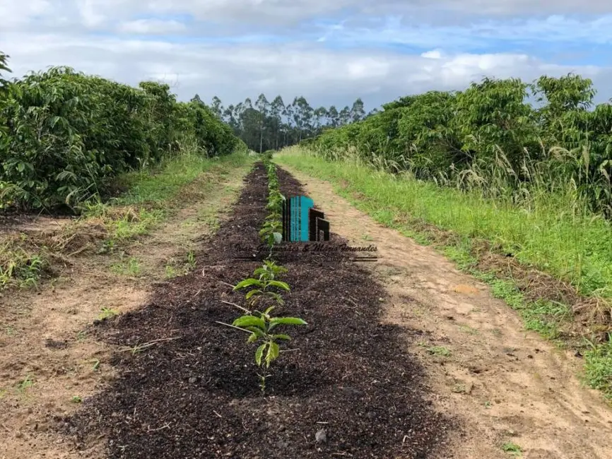 Foto 6 de Fazenda / Haras à venda, 4185m2 em Centro, Itamaraju - BA