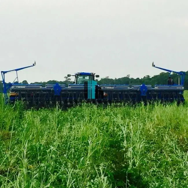 Foto 5 de Fazenda / Haras à venda, 32930m2 em Centro, Balsas - MA