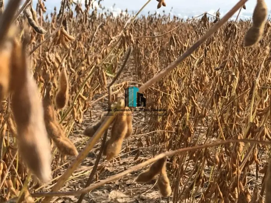 Foto 8 de Fazenda / Haras à venda, 32930m2 em Centro, Balsas - MA