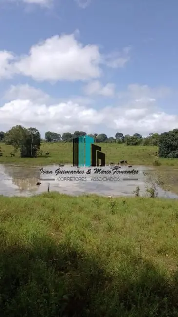 Foto 3 de Fazenda / Haras à venda, 228m2 em Mauazinho, Manaus - AM
